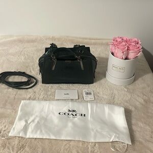 NWT Coach 1941 Dreamer Metallic Ivy Green Leather